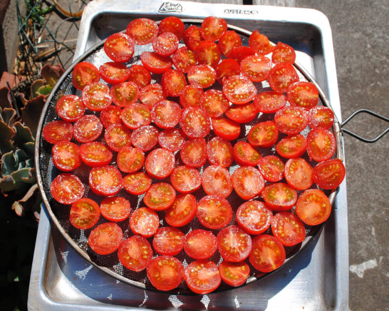 Saving Summer for Later with Marinated Sun-dried Tomatoes